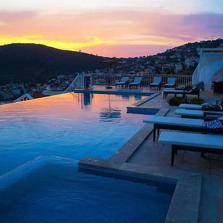 Falcon * Kalkan