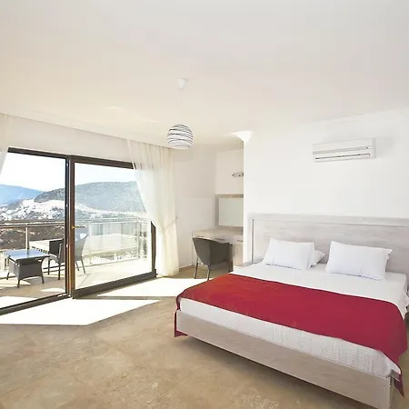 Falcon Villa *