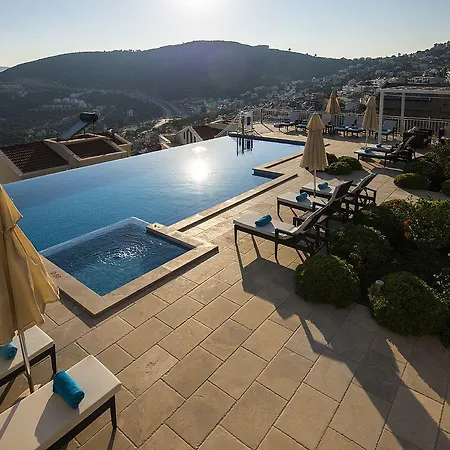 Falcon Kalkan